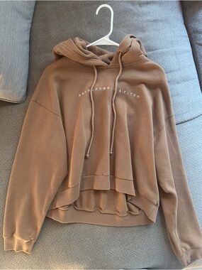 Abercrombie & Fitch Cropped Hoodie